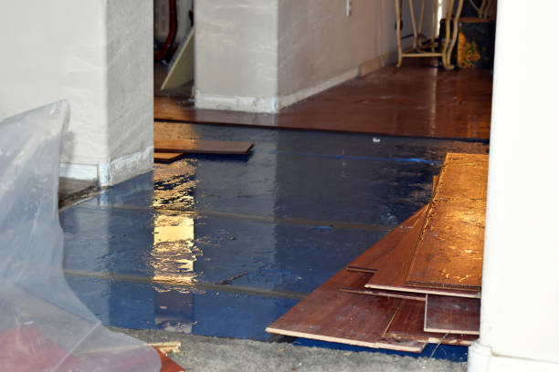 Professional Sewage Cleanup technician working in Adrian, MI